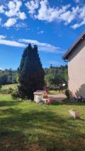 wbIMG_20230701_084418